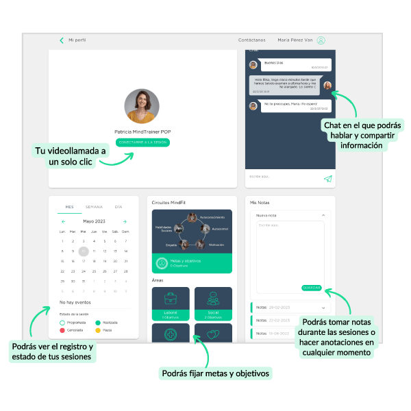 Captura de la plataforma Mindfit